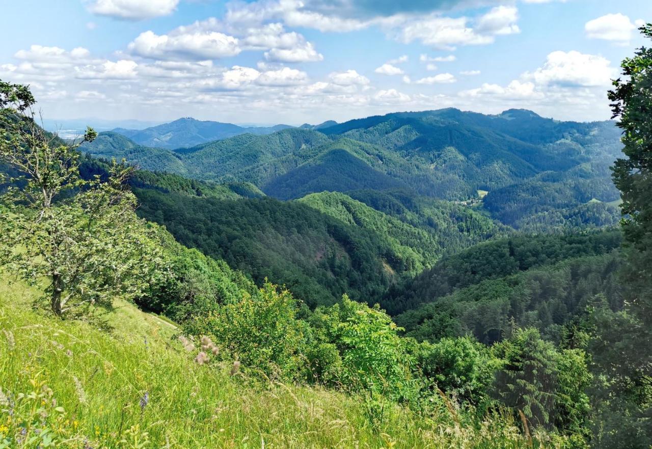 Bajta Kroparica Εξωτερικό φωτογραφία